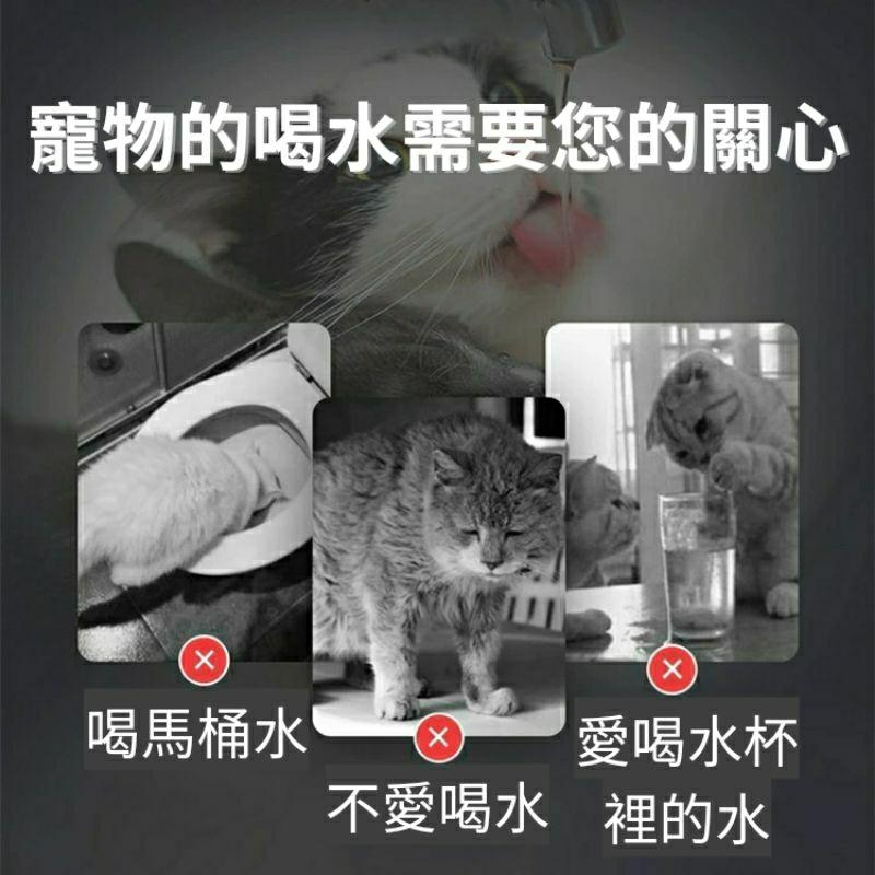 【🔥隔日到貨】透明好清理 寵物飲水機 智能感應 貓喝水器 貓咪飲水機 寵物 貓飲水機 貓 貓咪喝水 貓碗 自動飲水機-細節圖2