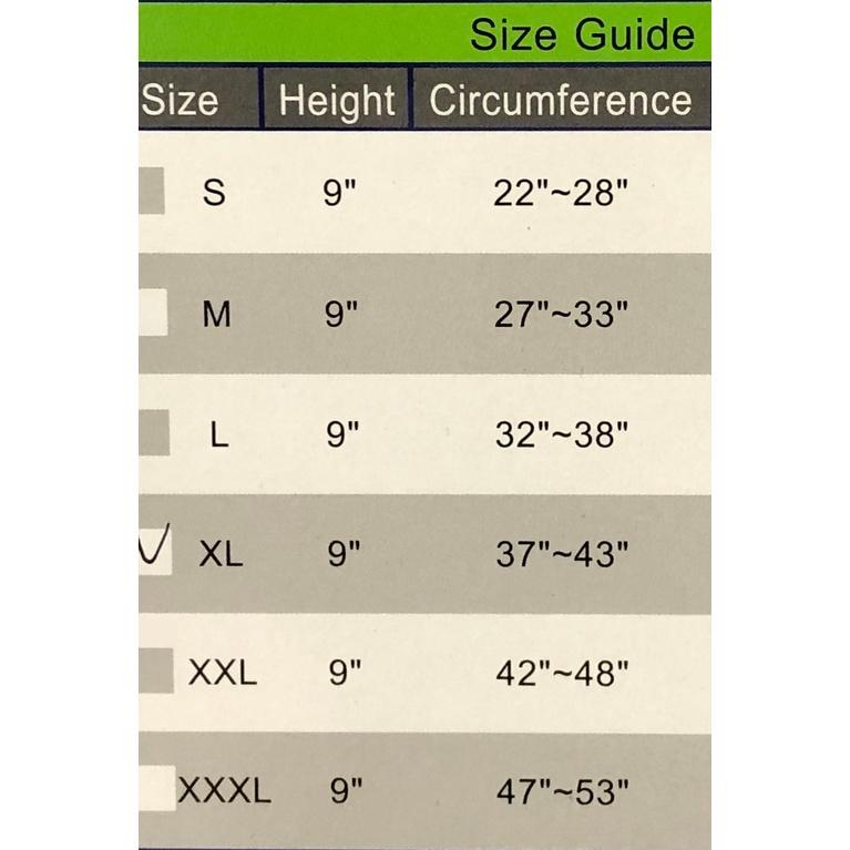 【滿千免運】Dr.Ortho 時尚纖薄護腰 DR-5015 護腰【禾宜藥局】-細節圖3