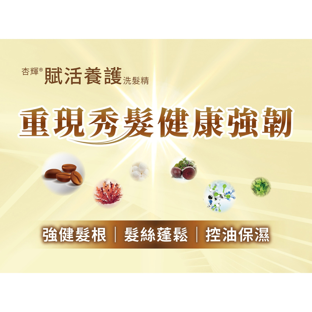 杏輝賦活養護洗髮精 500gm/瓶 強健髮根 髮絲蓬鬆 控油保濕 強韌髮根【禾宜藥局】-細節圖2