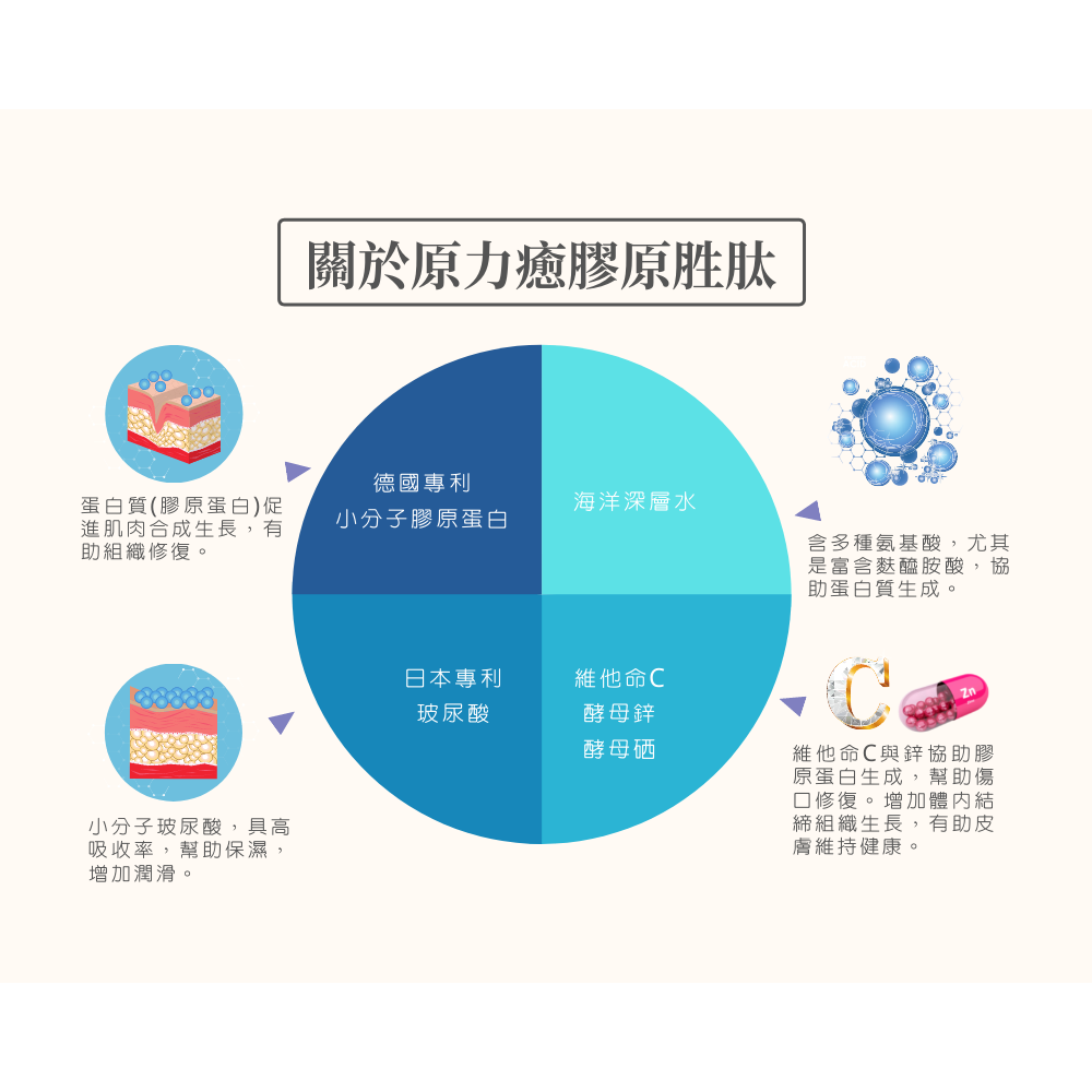 【滿千免運】原力癒 膠原胜肽 20包/盒 酵母鋅 酵母硒 膠原蛋白 維生素【禾宜藥局】-細節圖6