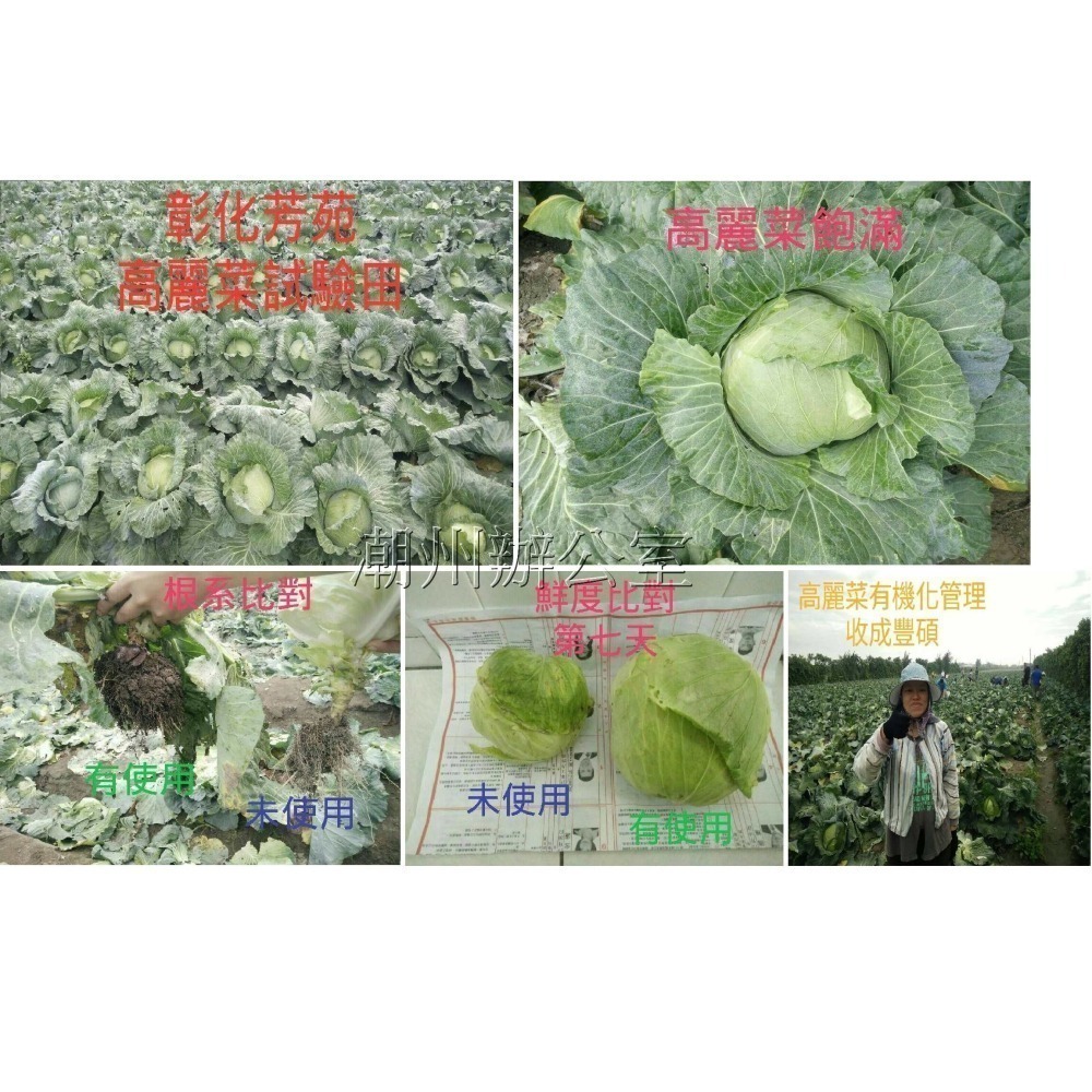 【肥料王】褐煤蠟~非農藥無抗藥性~植物保護膜~預防疫病~以窒息性消滅害蟲(介殼蟲/蚜蟲/莿馬/蟎蟲) 1公升/瓶-細節圖7