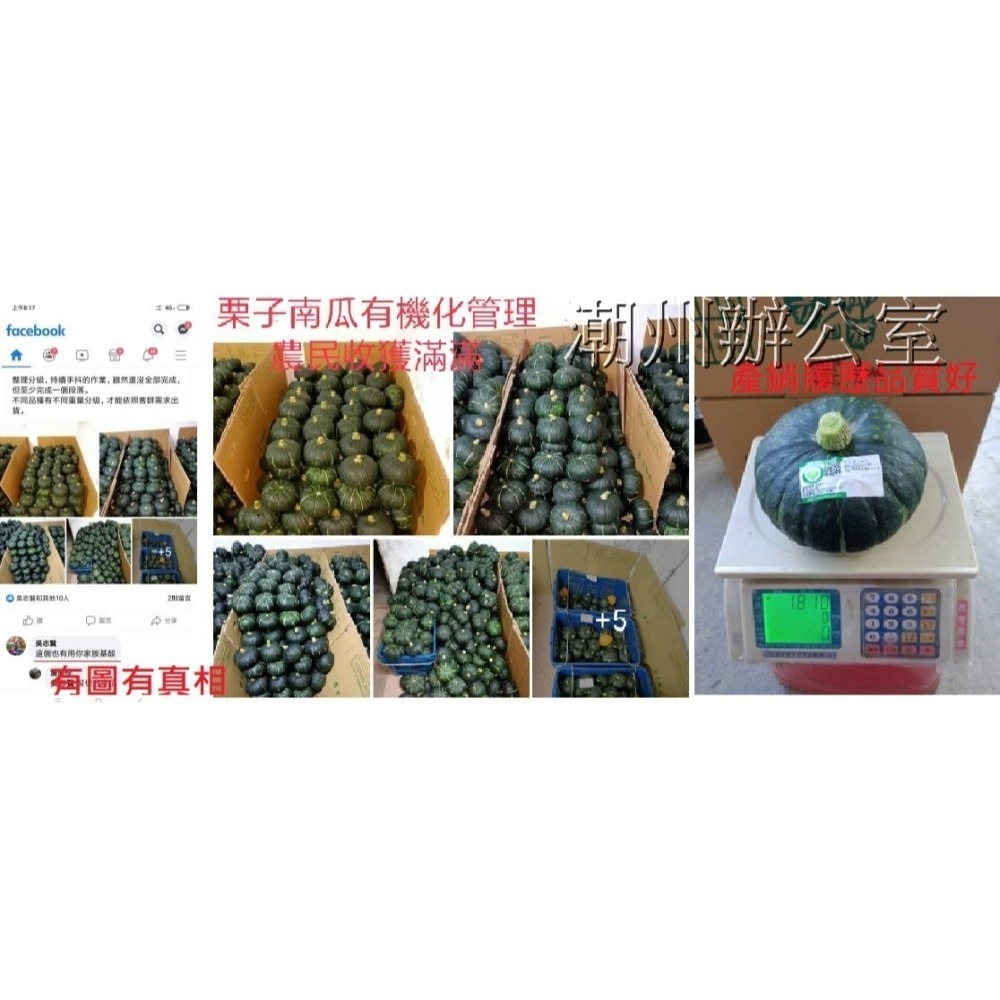 【肥料王】亞磷酸鉀~啟動植物防病機制~誘導植物產生抗性~降低病蟲害~強化植株~預防病菌感染~葉面/土壤可用 1公升/瓶-細節圖3