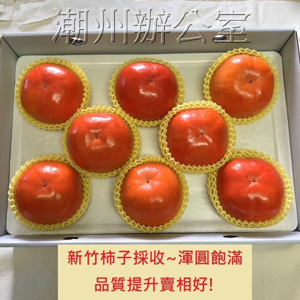 【肥料王】硼奇靈~強化細胞活性~提升養分運輸~促進花管發育~強化果皮組織~預防掉果裂果~預防黑斑及凹凸不平 1公升/瓶-細節圖3