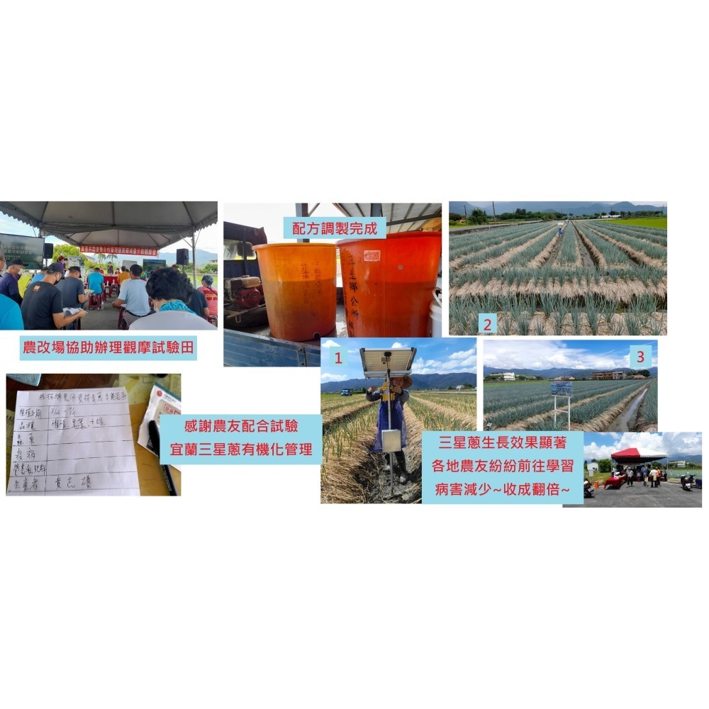 【肥料王】硼奇靈~強化細胞活性~提升養分運輸~促進花管發育~強化果皮組織~預防掉果裂果~預防黑斑及凹凸不平 1公升/瓶-細節圖9