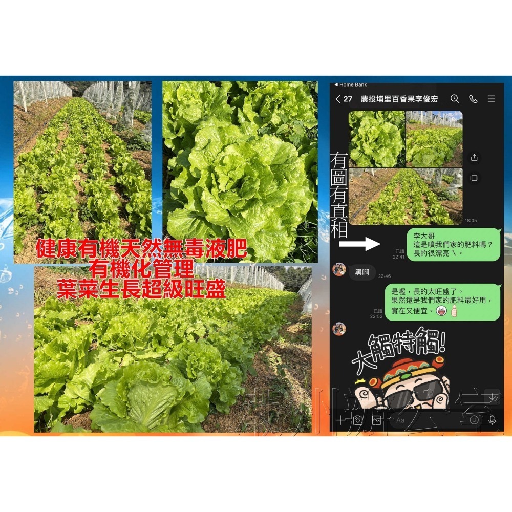 【肥料王】農業液化木黴菌~分解有機質~降低土傳病菌~提升土壤微生物~增強土壤地力~分解有害病菌~有效提升品質 4公升/瓶-細節圖2