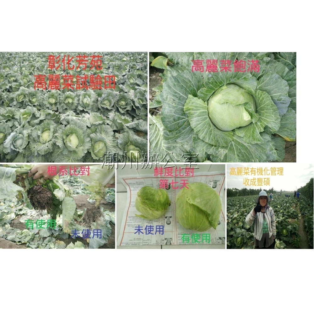 【肥料王】農業液化木黴菌~分解有機質~降低土傳病菌~提升土壤微生物~增強土壤地力~分解有害病菌~有效提升品質 4公升/瓶-細節圖7