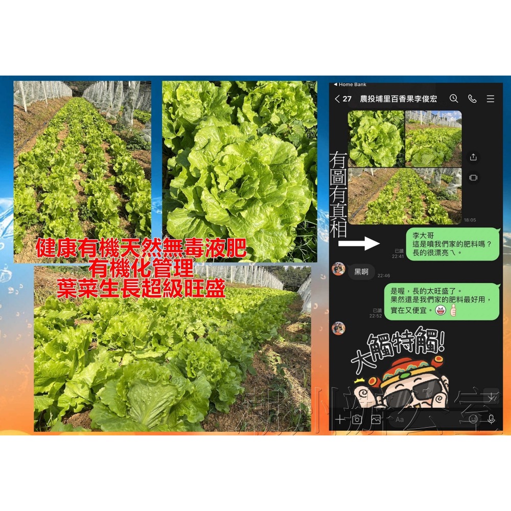 【肥料王】綜合菌醱酵液~有機農業天然無毒~植株根系旺盛茁壯~本土天然優生菌種~自種健康蔬食第一優選 4公升/瓶-細節圖3