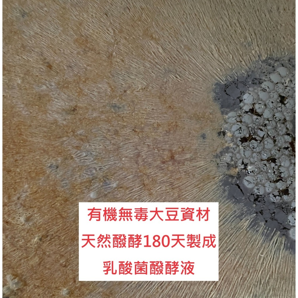 【肥料王】乳酸菌醱酵液~有機農業天然無毒~植株根系旺盛茁壯~本土天然優生菌種~自種健康蔬食第一優選 4公升/瓶-細節圖2
