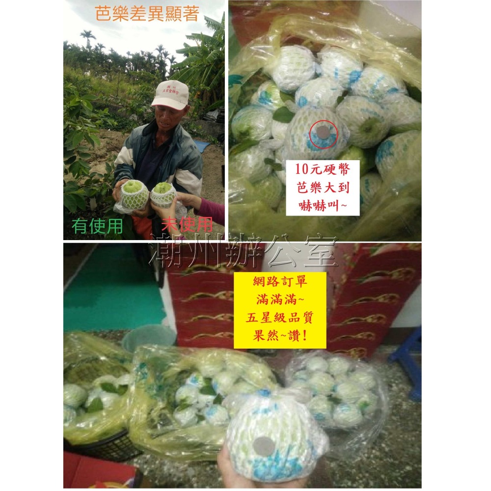 【肥料王】海珍寶~高純度海草精~提高幼苗存活率~增強保水性延長果實壽命~促進花芽分化~增加果實甜度與色澤 10公斤/箱-細節圖10