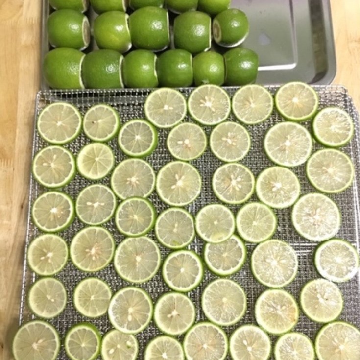 有機檸檬片/檸檬原片/檸檬乾/檸檬茶片-細節圖3