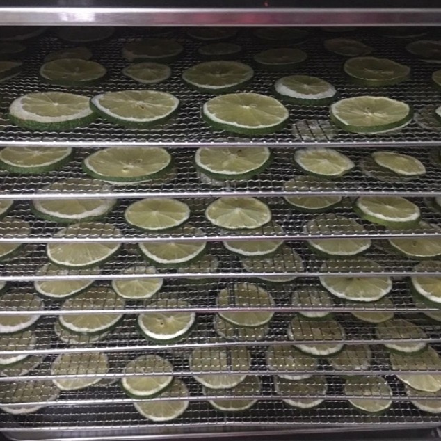 有機檸檬片/檸檬原片/檸檬乾/檸檬茶片-細節圖4