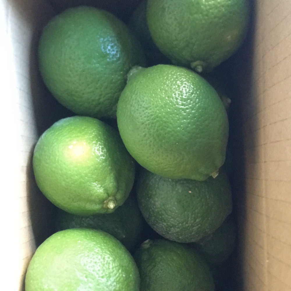 有機檸檬/自然檸檬 /生機檸檬/有籽檸檬/四季檸檬-細節圖3