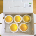有機黃金果（大果）直接下單，快速出貨，過年門市有營業就可以取貨！-規格圖3