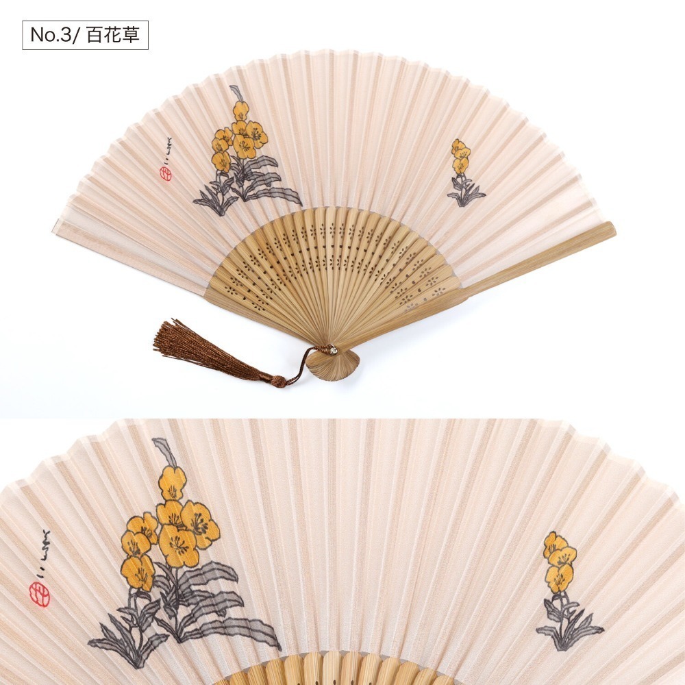 no.3百日草