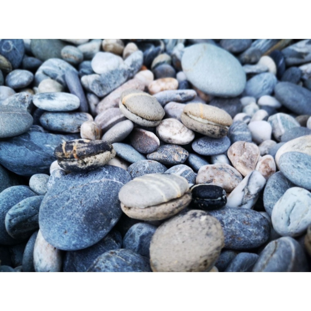 花蓮莎莉丨七星潭石頭小甜餅（單盒裝）-細節圖8