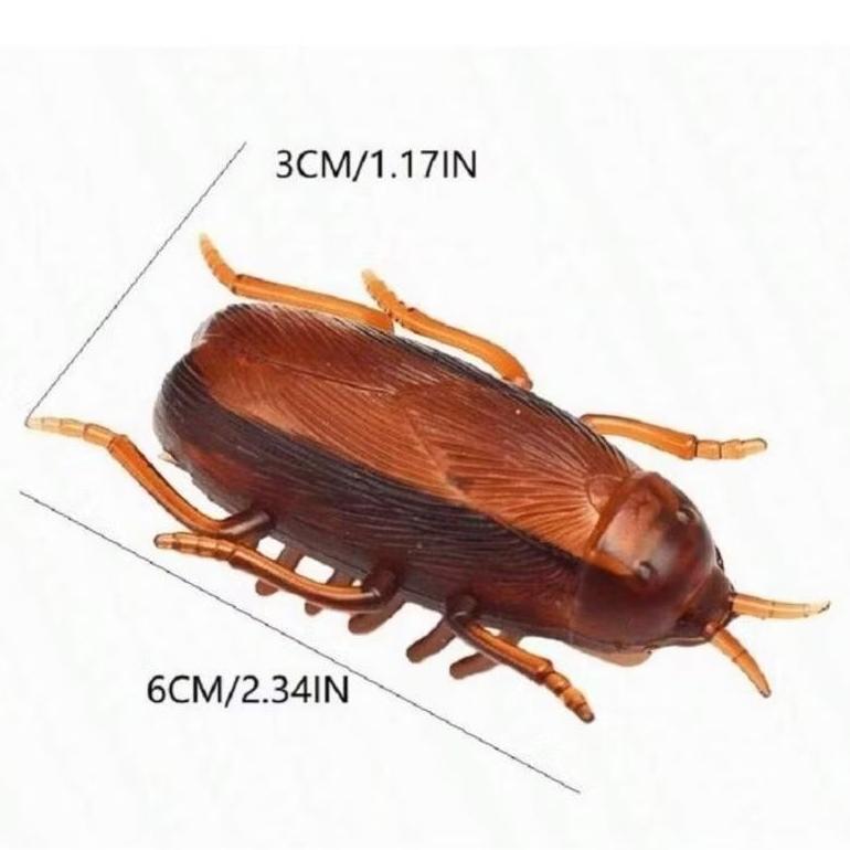現貨出清 震動爬行小蟑螂 嚇人 惡整 惡搞 生日禮物 恐怖 蟑螂 惡作劇 道具 聚會 6*3*3cm-細節圖3