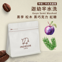 [ 引豆人咖啡豆工坊 ] 迦幼半水洗 / 溼剝法 / 中焙