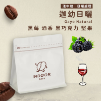 [ 引豆人咖啡豆工坊 ] 迦幼日曬 / 日曬法 / 淺中焙