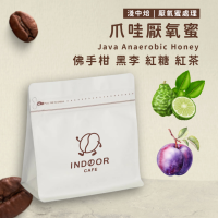 [ 引豆人咖啡豆工坊 ] 爪哇厭氧蜜 / 厭氧蜜處理法 / 淺中焙