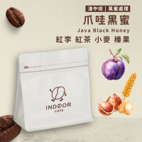 [ 引豆人咖啡豆工坊 ] 爪哇黑蜜 / 黑蜜處理法 / 淺中焙