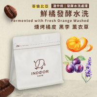 [ 引豆人咖啡豆工坊 ] 哥倫比亞 鮮橘發酵水洗 / 發酵水洗處理 / 淺中焙