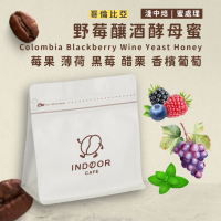 [ 引豆人咖啡豆工坊 ] 哥倫比亞 野莓釀酒酵母蜜 / 蜜處理 / 淺中焙