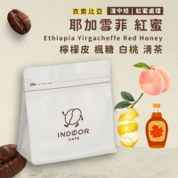 [ 引豆人咖啡豆工坊 ] 衣索比亞 耶加雪菲 紅蜜 / 淺中焙