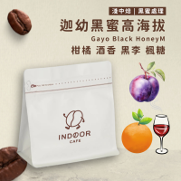 [ 引豆人咖啡豆工坊 ] 迦幼黑蜜高海拔 / 黑蜜處理法 / 淺中焙