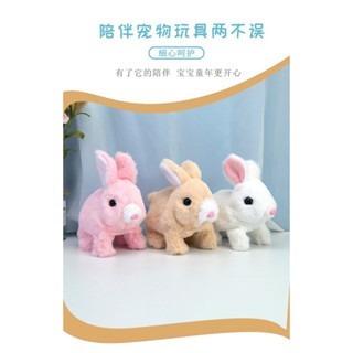 現貨❤️電動絨毛兔子玩具 仿真兔子玩具 仿真電動兔子 兔子玩具 寵物玩具 可愛兔子玩具 仿真兔子 走路兔兔 電動兔-細節圖9