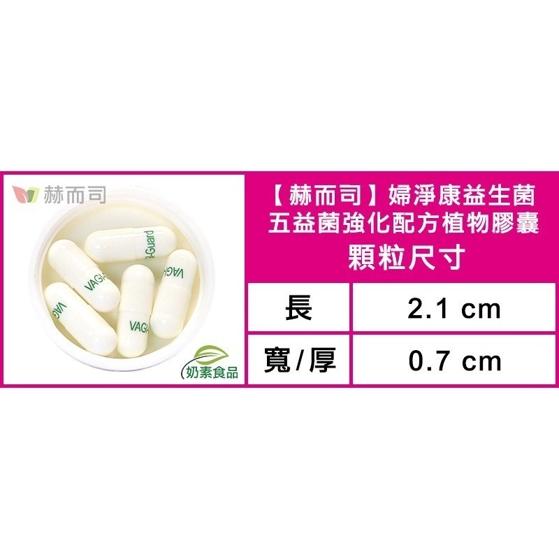 [分裝14元/顆] 赫而司 婦淨康益生菌｜私密五益菌強化配方植物膠囊｜VAGI-Guard-細節圖2