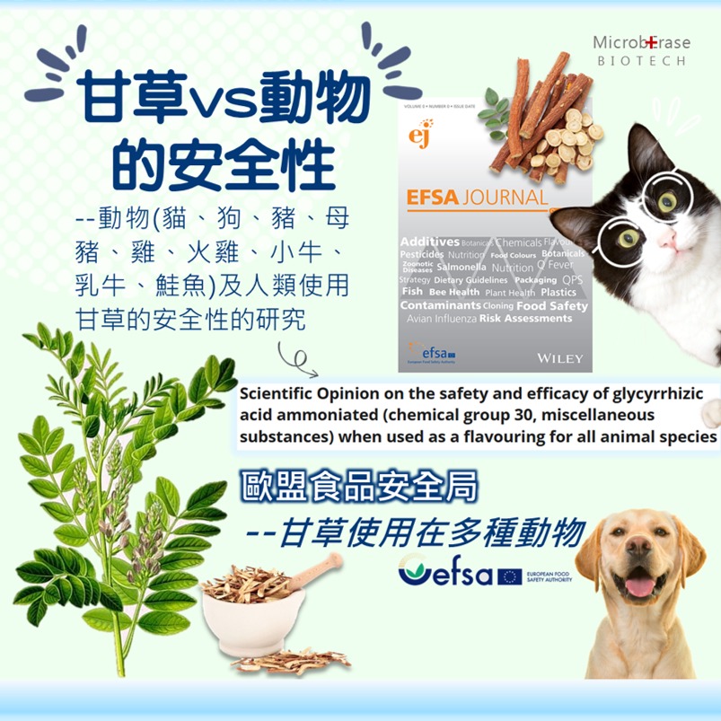 【益百酚-MicrobErase】寵物抗菌修復洗毛精 【官方直營】-細節圖4