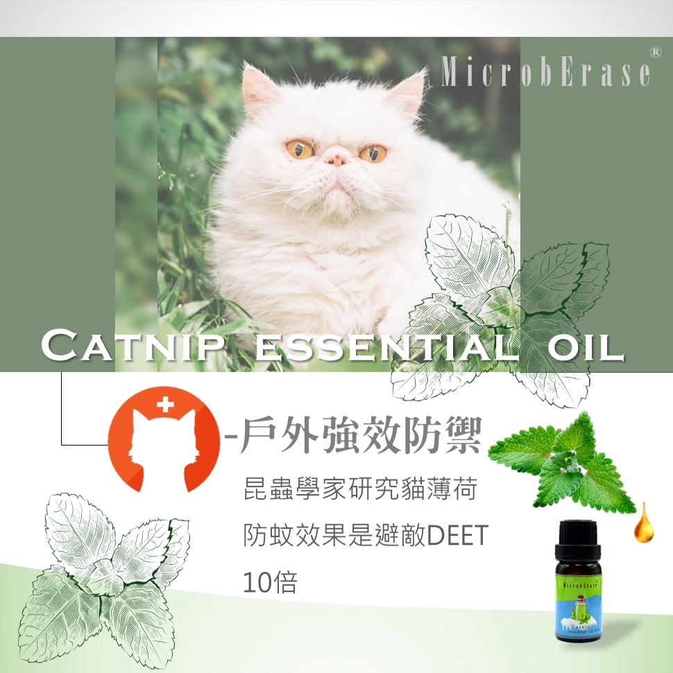 【益百酚-MicrobErase】 100% 純貓薄荷精油  北美荊芥精油 10ml -貓狗友善【官方直營】-細節圖2