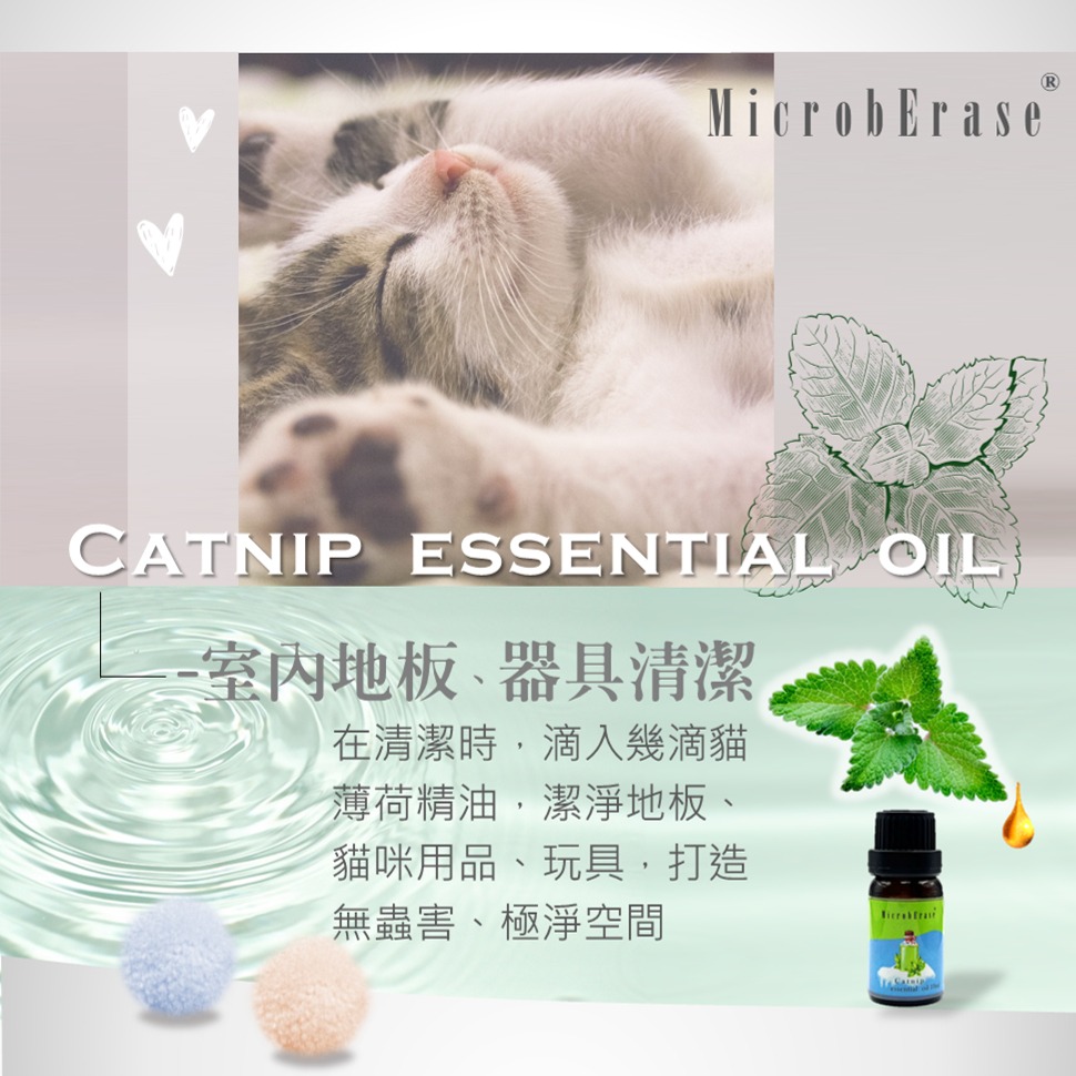 【益百酚-MicrobErase】 100% 純貓薄荷精油  北美荊芥精油 10ml -貓狗友善【官方直營】-細節圖3