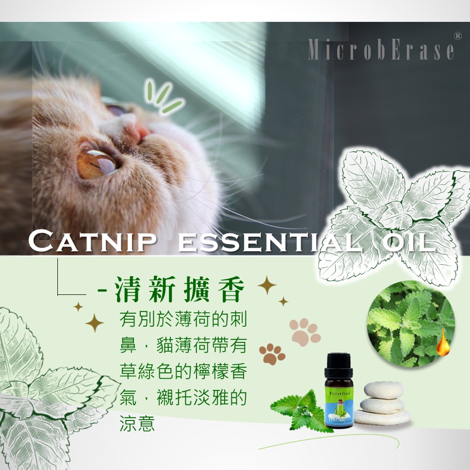 【益百酚-MicrobErase】 100% 純貓薄荷精油  北美荊芥精油 10ml -貓狗友善【官方直營】-細節圖4