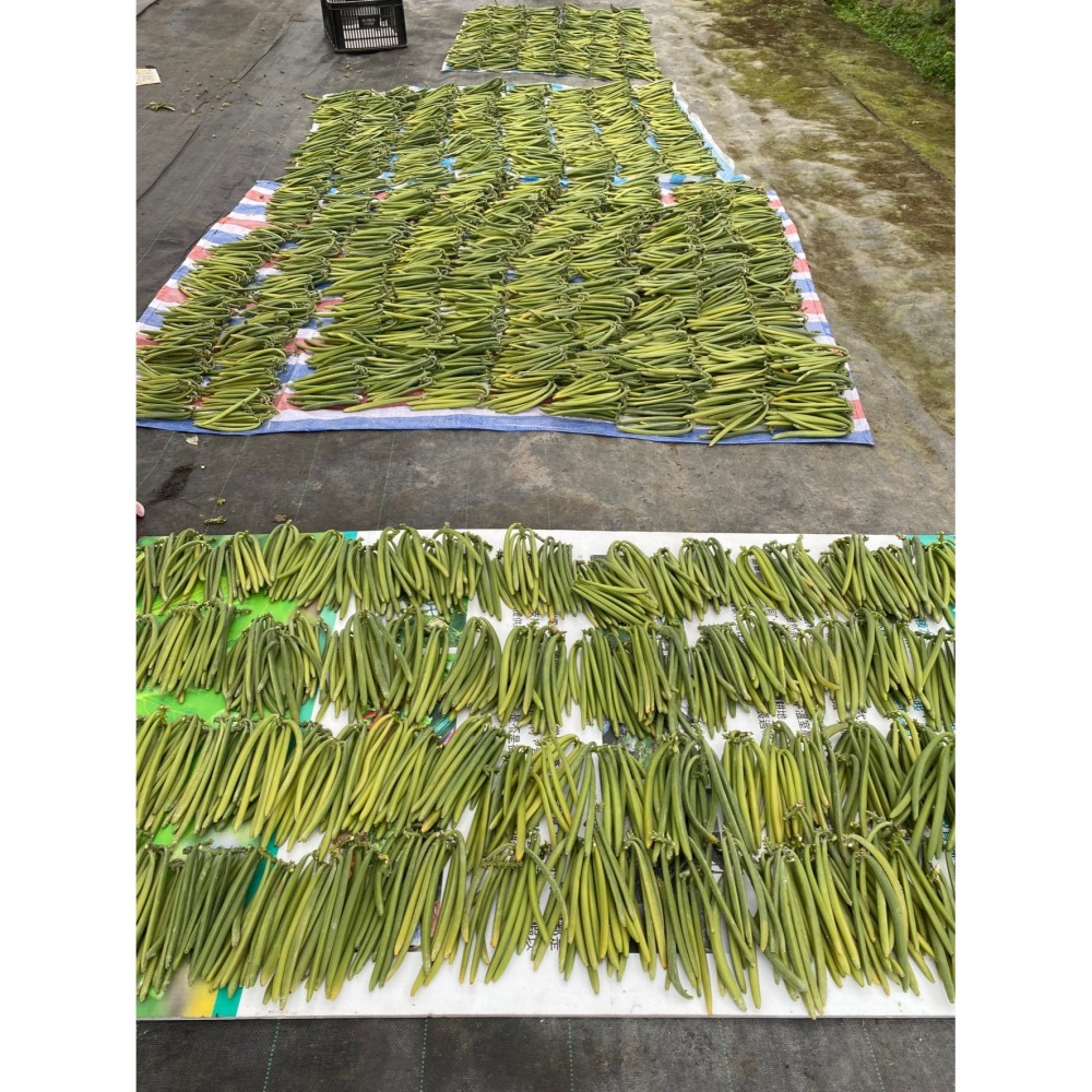 台灣在地香草莢小包組合(免運費)-細節圖7