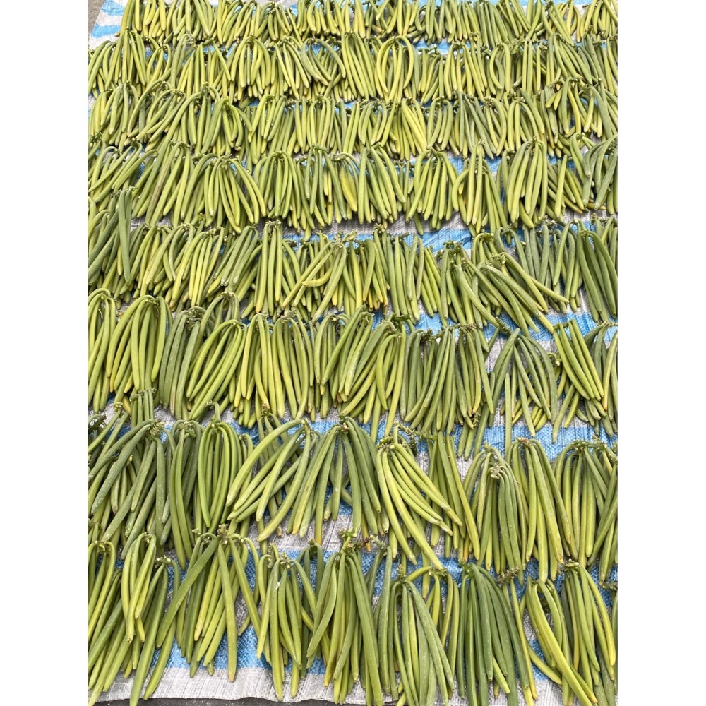 台灣在地香草莢小包組合(免運費)-細節圖8