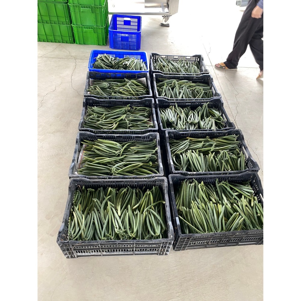 台灣在地香草莢小包組合(免運費)-細節圖9