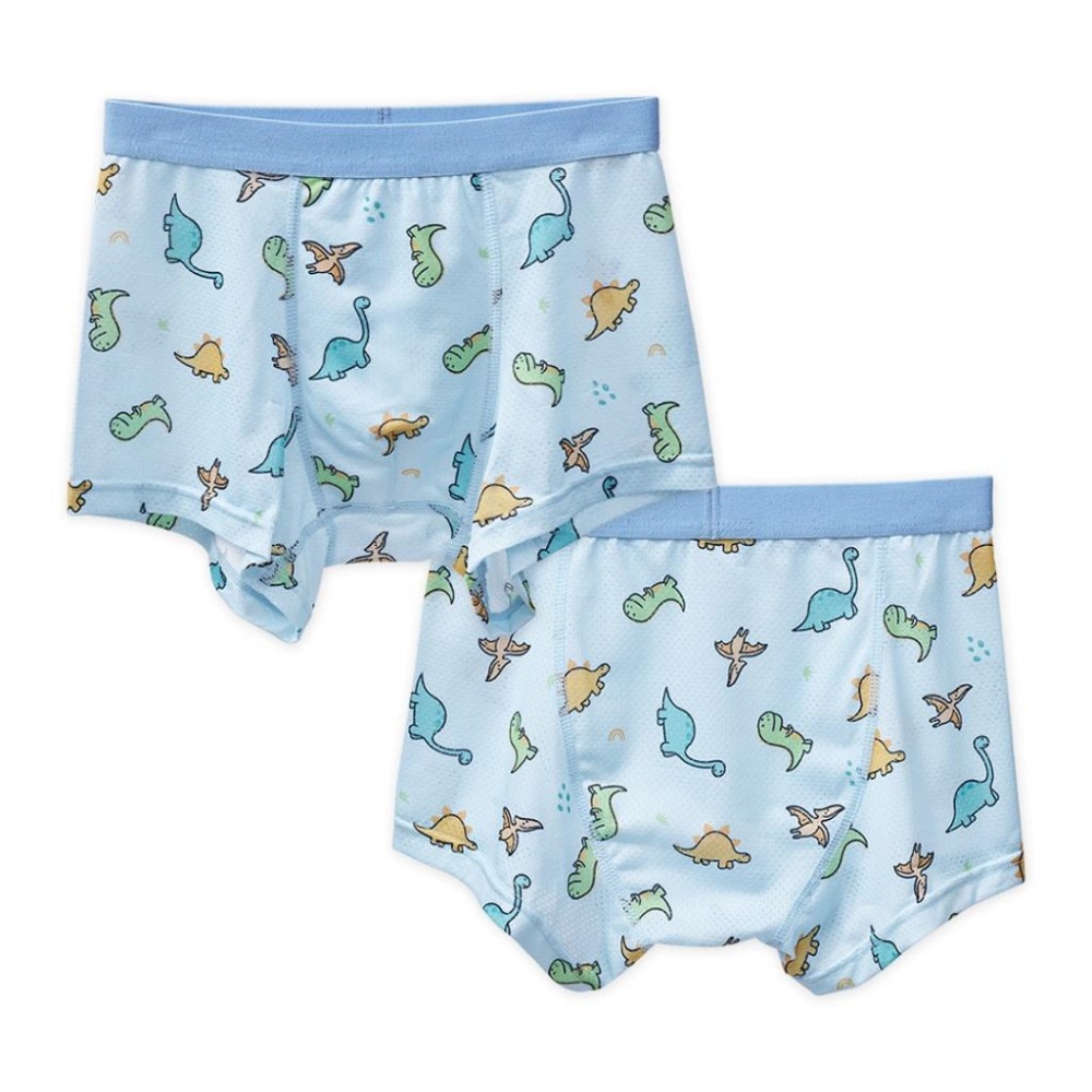 男童內褲 恐龍四角褲 吸排速乾兒童內褲 恐龍內褲  兒童內褲 GK-CS03 【旺達棉品】-細節圖2