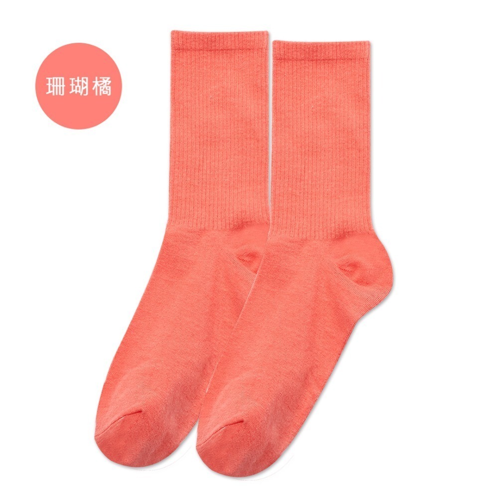 14珊瑚菊