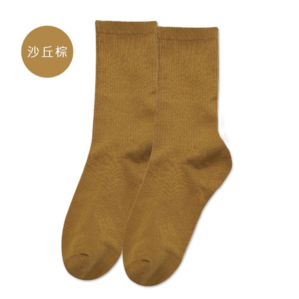 10-沙丘棕