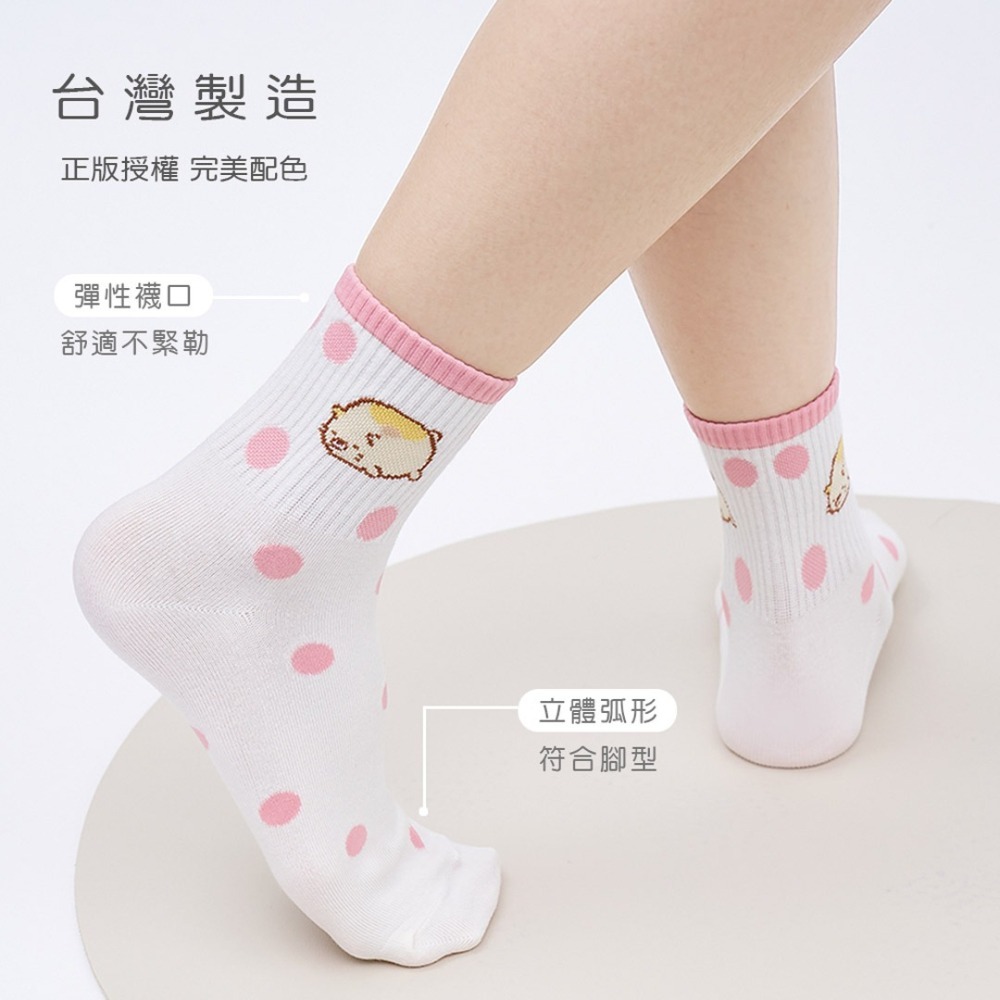 角落生物 角落小夥伴 中統襪 長襪 女中筒襪 炸豬排 炸蝦尾 女襪 SG-A301~SG-A305【旺達棉品】-細節圖6