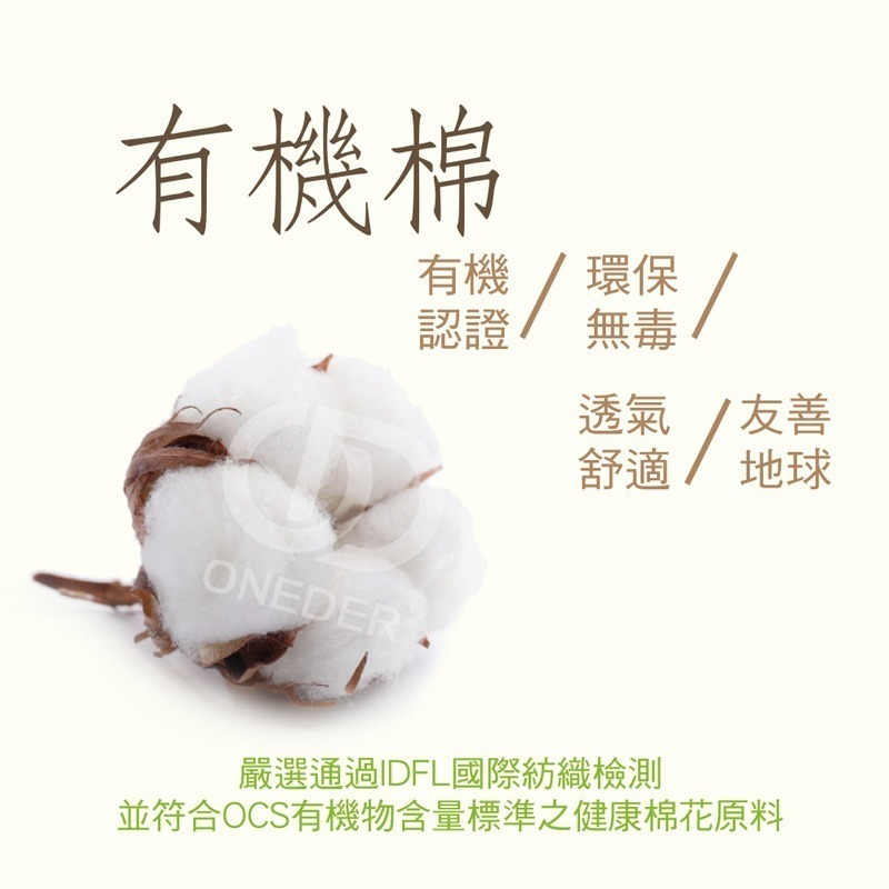 有機棉2/2中統羅紋襪 短襪 襪子 台灣製中筒襪 AN-A401【旺達棉品】-細節圖2