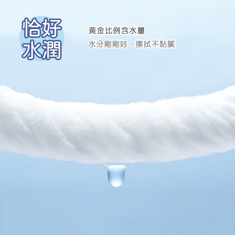 【 7-ELEVEN門市團購】 迪士尼涼感濕巾 (8抽6包x8袋) 玩具總動員迷你濕巾 極凍 (免運) 旺達棉品-細節圖11