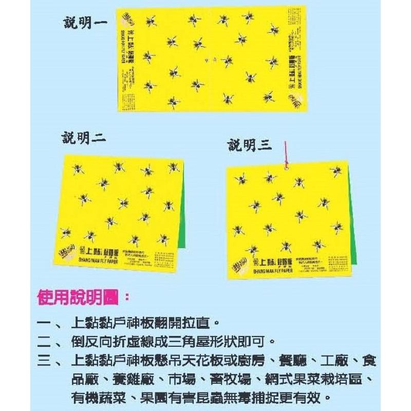 上黏 黏蠅板 黏戶神 黏蒼蠅-細節圖2