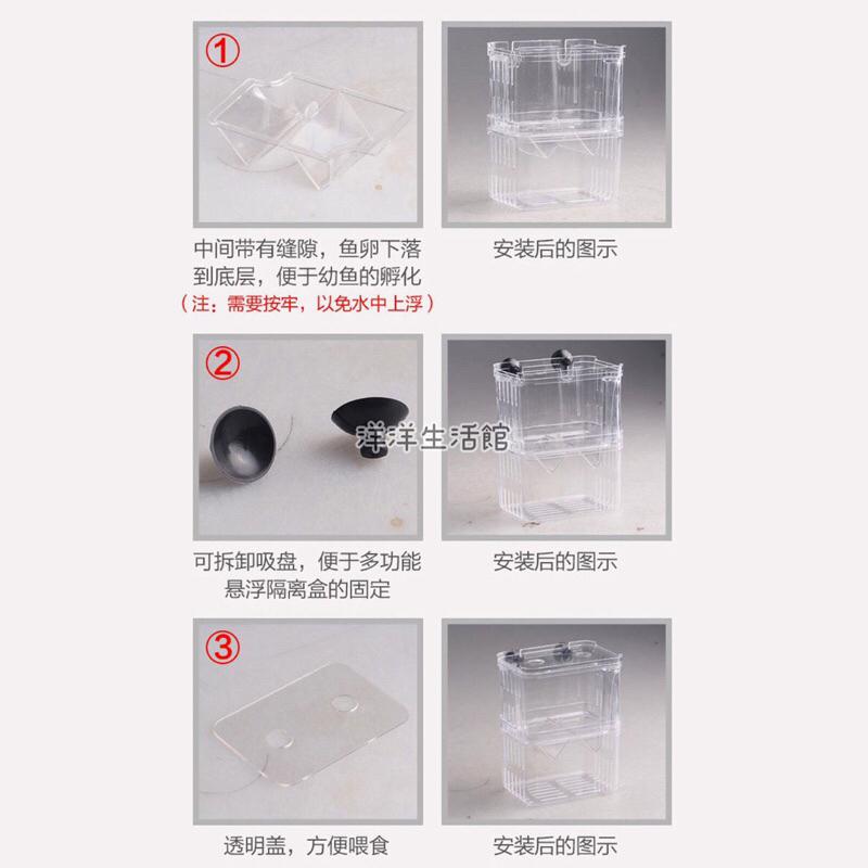 自浮式 多功能 隔離盒 飼養盒 懸浮式 孔雀魚 繁殖盒-細節圖7