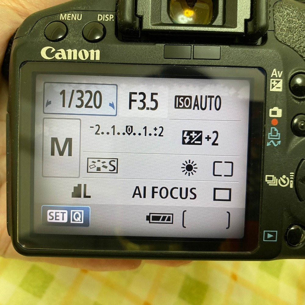 二手 Canon 500D 數位單眼相機 機身+鏡頭-細節圖2