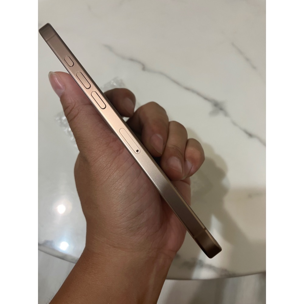 16 promax 256g 金色 🔋100%（18.6.2）保固到1月-細節圖5