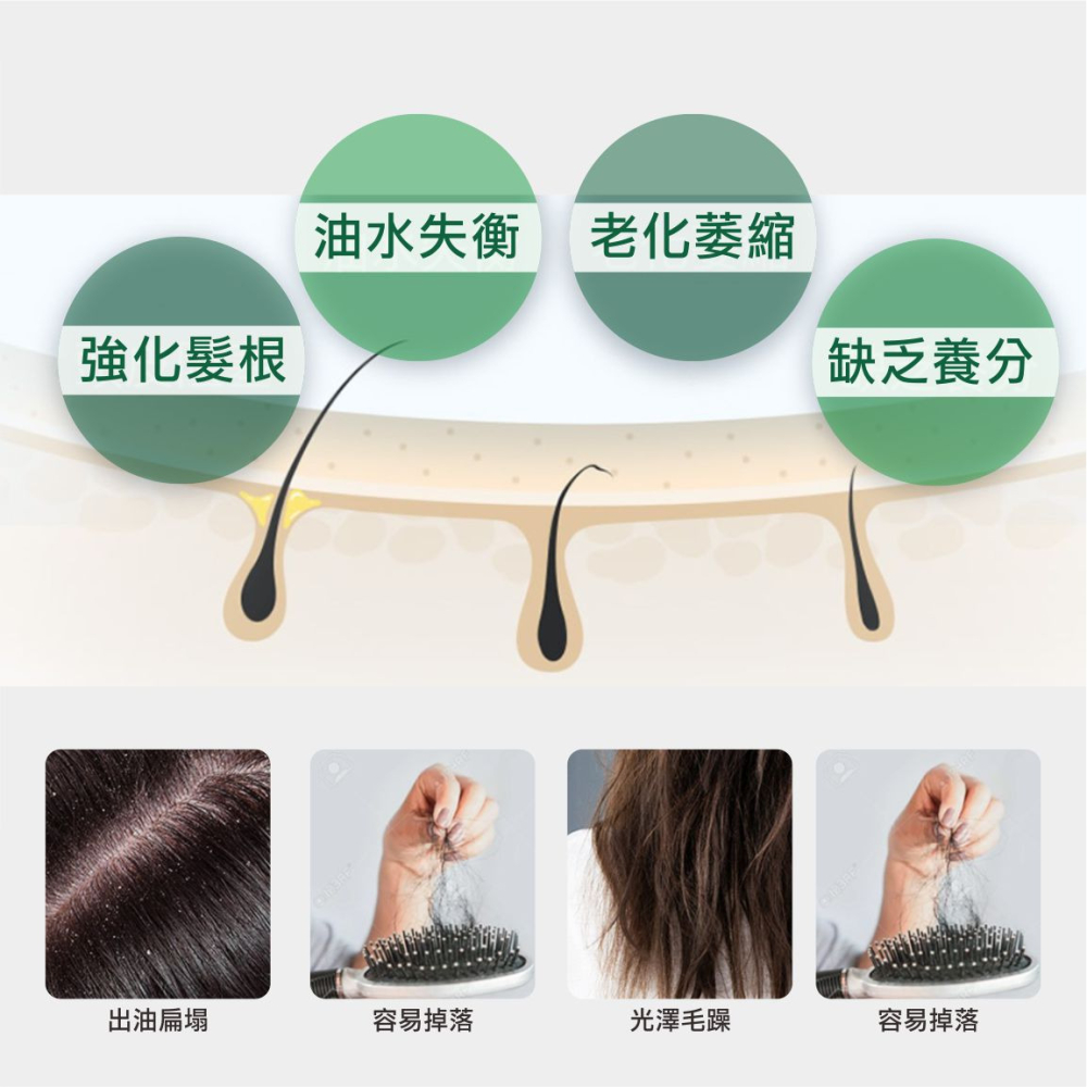 現貨/JISME 集世美髮根養髮液/頭皮水 150ML(涼感)-細節圖2