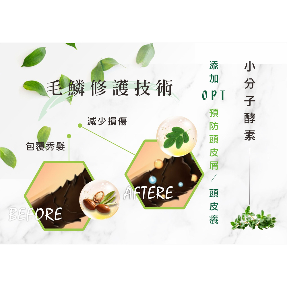 ART CUT麝香草酵素洗髮精  /  ART CUT麝香草酵素洗髮精1000ML #台灣製造-細節圖5