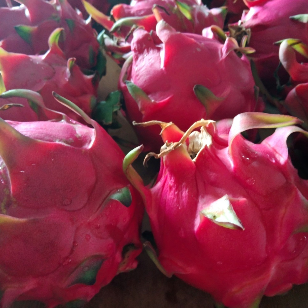 紅火龍果乾-細節圖3